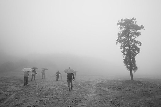 山路,登山,驴友,爬山