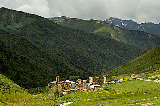 远景,老,塔,山谷,乡村,乔治亚