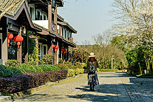 杭州西溪湿地公园