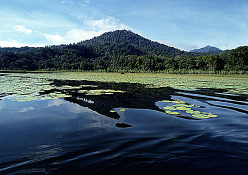 印度尼西亚,巴厘岛,湖,山,背景