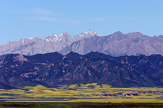 甘肃张液山丹军马场夏季的风景