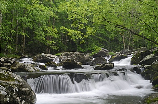 瀑布,大烟山国家公园,美国