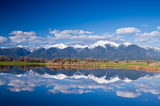 湿地,水塘,山脉,靠近,蒙大拿,美国