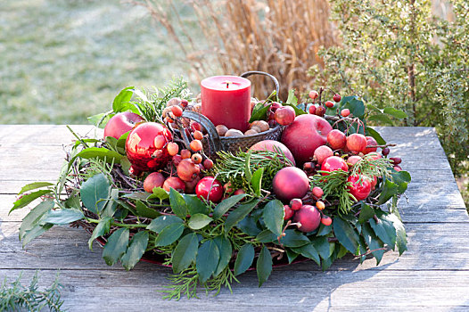 红色,蜡烛,花环,冬青属,针叶树,枝条