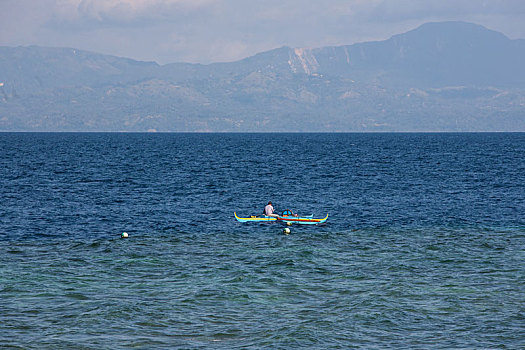 安静,平静,海洋,桦树