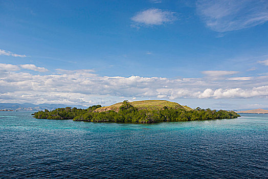 科莫多国家公园,岛屿,印度尼西亚