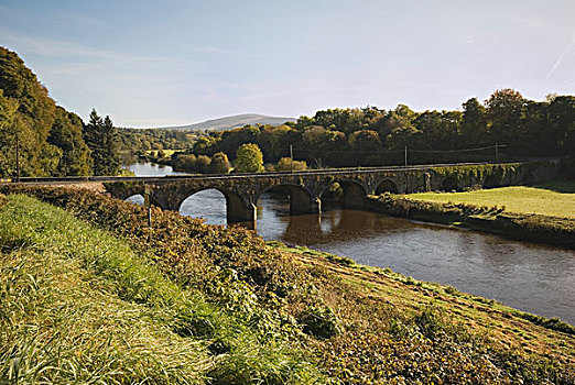 河,古桥,靠近,基尔肯尼郡,爱尔兰