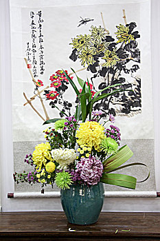 菊花展览