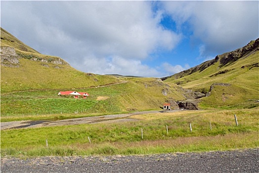 草地,冰岛