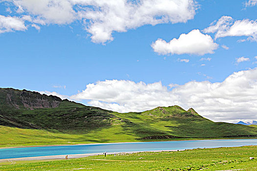 绿地山河流