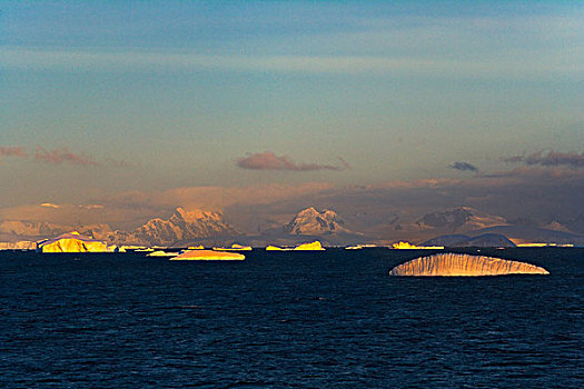 晨景,冰山,南极海,南极