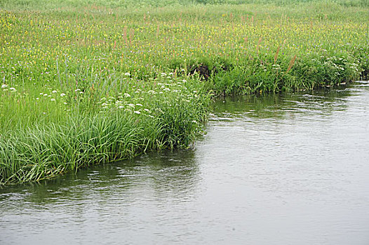 承德,坝上,草原,花海,原野,开阔,河流,植被,牧场