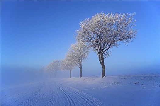 越野滑雪,冬天