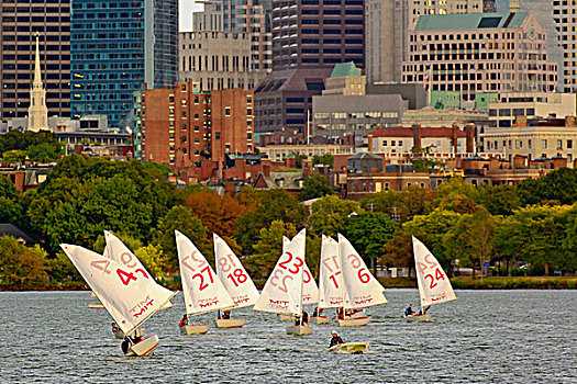 航行,团队,练习,查尔斯河,波士顿,马萨诸塞,背景