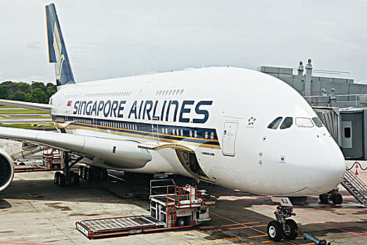 飞机,新加坡