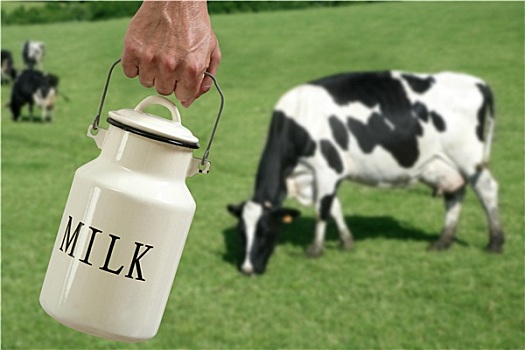 牛奶,容器,农民,母牛,草地