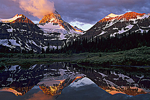 山,反射,黎明,山中小湖,阿悉尼伯因山,省立公园,不列颠哥伦比亚省,加拿大