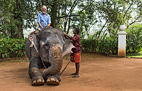 游客,骑,大象,驱象者,引导,喀拉拉,印度,亚洲