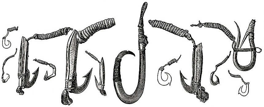 鱼,钩,壳,骨头,玻利尼西亚,插画,捕鱼,原始,历史