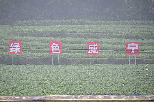 随身集合石怀旧服版本下载
