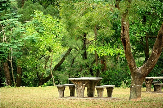 野餐,地点