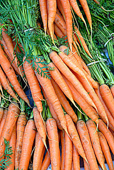 胡萝卜,博罗市场