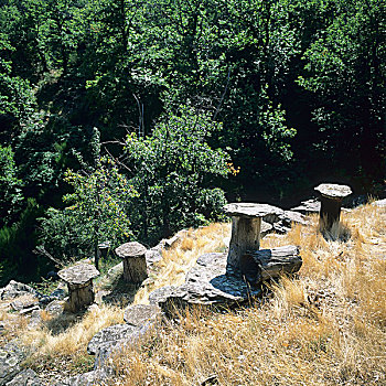 蜜蜂,蜂窝,建造,栗子树,树干,石头,石板,法国