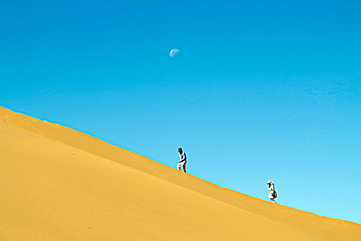 摩洛哥,德拉河谷,沙丘,破旧,旅游,尝试,攀登