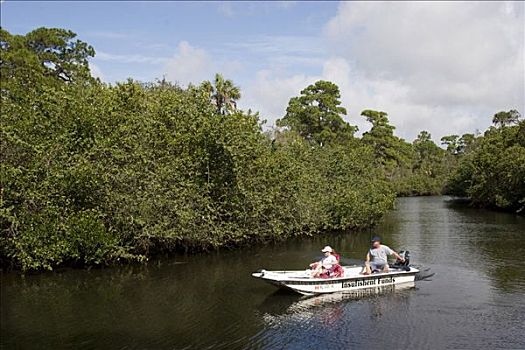 汽艇,河,古迹,州立公园,佛罗里达,美国