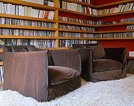 一对,舒适,扶手椅,墙壁,排列,书架,角,客厅