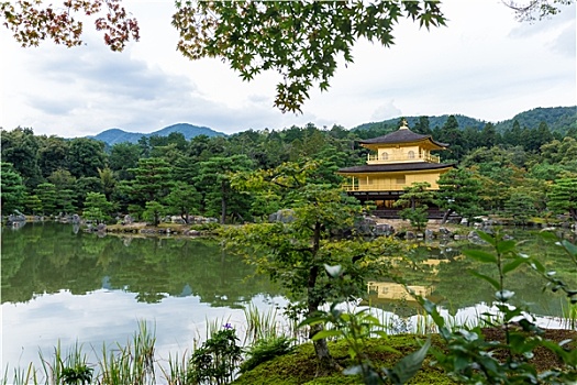 金阁寺,庙宇,京都,日本