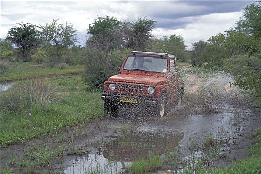 驾驶,水坑,纳米比亚