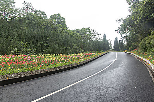 鲜花公路