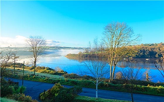 漂亮,秋天,晨雾,河,科克市,爱尔兰