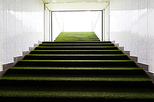 绿色,楼梯,体育场