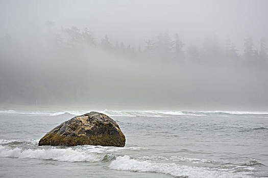 加拿大,不列颠哥伦比亚省,温哥华岛,大,石头,碰撞,海浪,海滩,环太平洋国家公园,大幅,尺寸