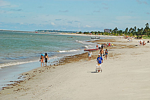 brazil,pernambuco,ilha,de,itamaraca,people,walking,on,the,beach
