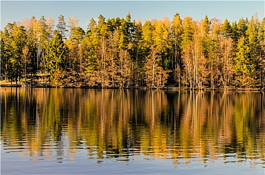 自然风光,树林,湖