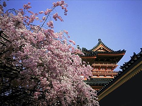 平安神宫,京都,日本