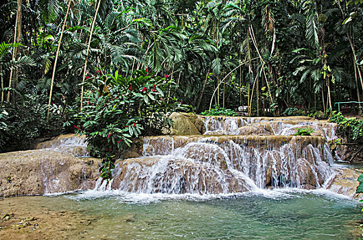 瀑布,花园,奥乔里奥斯,牙买加