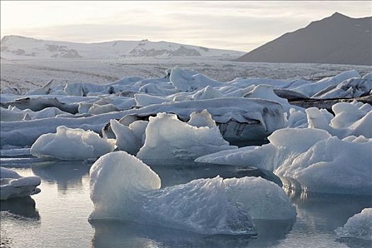 冰山,冰河,背景,结冰,湖,南方,海岸,冰岛,大西洋