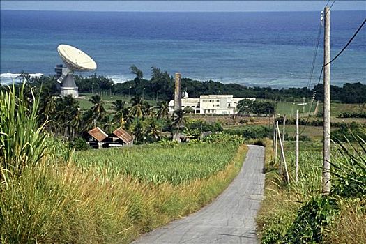 道路,通过,茂密,草地,碟形卫星天线,巴巴多斯,加勒比海