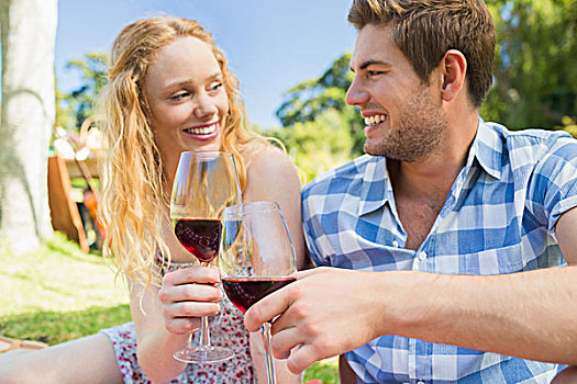 年轻,情侣,野餐,喝,葡萄酒,晴天