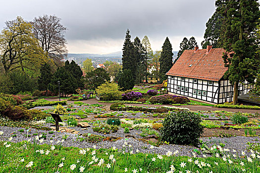 植物园,威斯特伐利亚,农舍,春天,北莱茵威斯特伐利亚,德国,欧洲