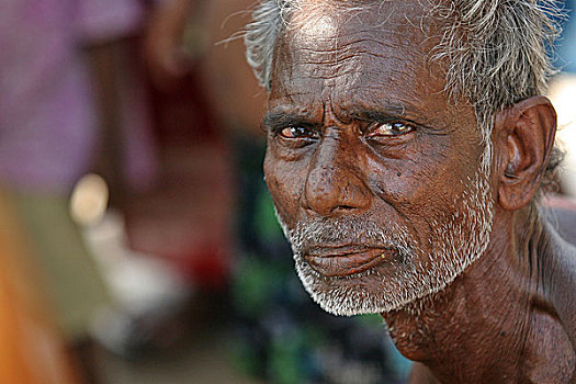 一个,老人,家庭,老年,工作,安静,新娘,遥远,孟加拉,乡村,孙德尔本斯地区,人,紧握
