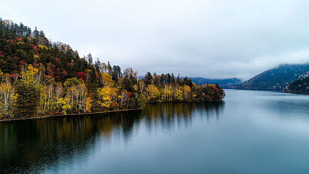 湖,秋天,北海道,日本