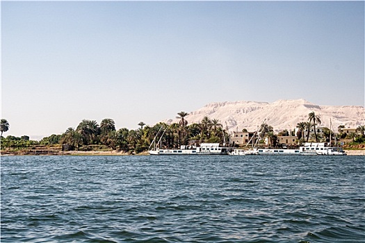 水景,尼罗河,靠近,路克索神庙,埃及