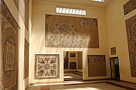 阿尔及利亚,提姆加德,遗迹,博物馆