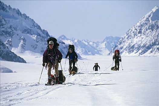 引导,攀登,团队,向上,西部,滑雪,麦金立山,德纳里国家公园,冰河