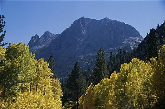 顶峰,内华达山脉,加利福尼亚,美国